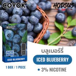 Coyork - Iced Blueberry